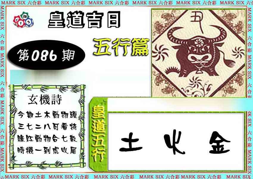 单双各四肖